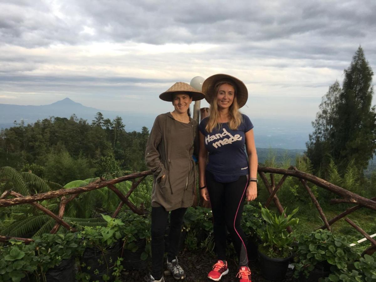 Bromo Tanjung Apartamento Tosari Exterior foto