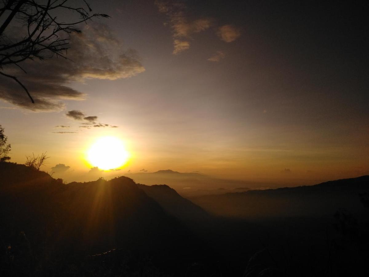 Bromo Tanjung Apartamento Tosari Exterior foto