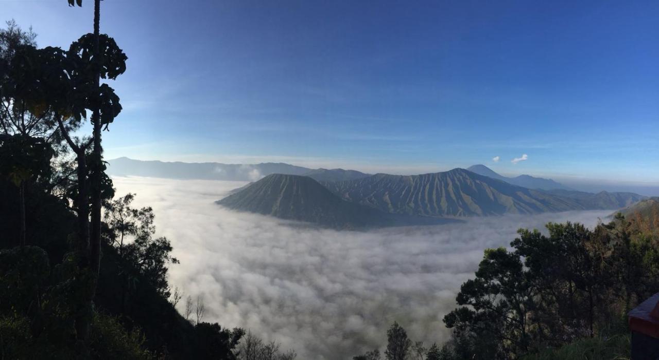 Bromo Tanjung Apartamento Tosari Exterior foto