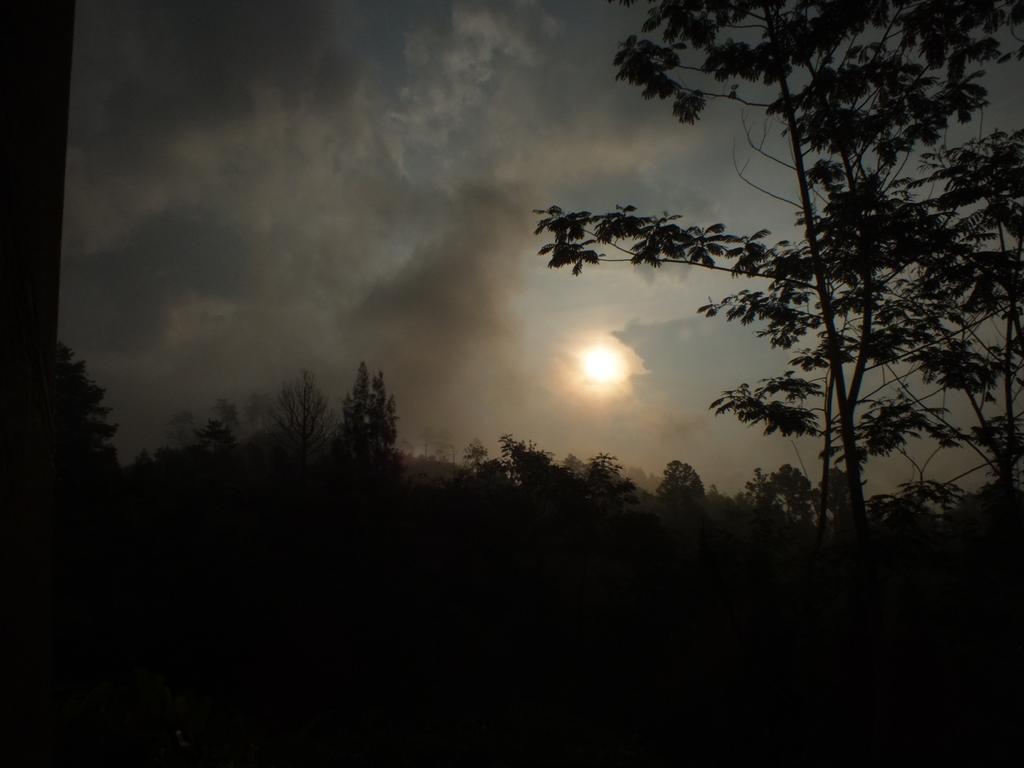 Bromo Tanjung Apartamento Tosari Exterior foto