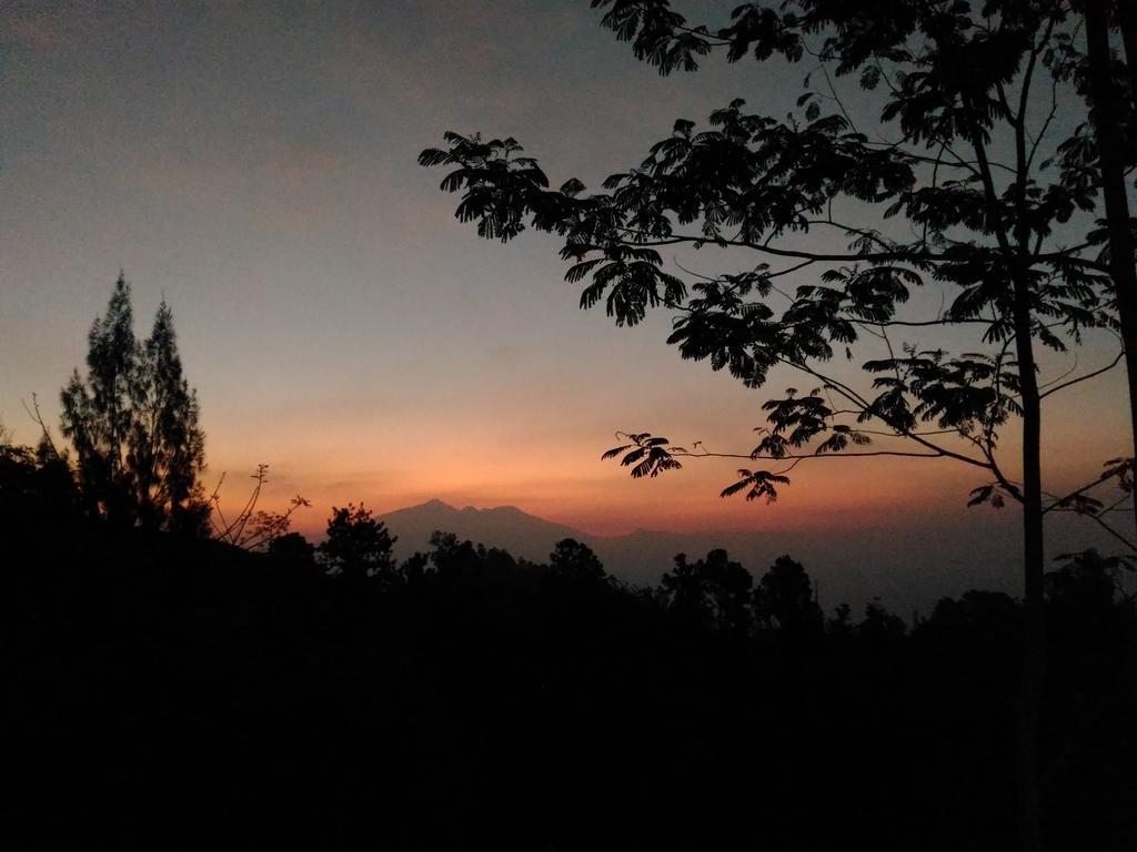 Bromo Tanjung Apartamento Tosari Exterior foto